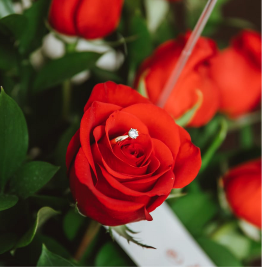 Anillo de compromiso solitario - Oro