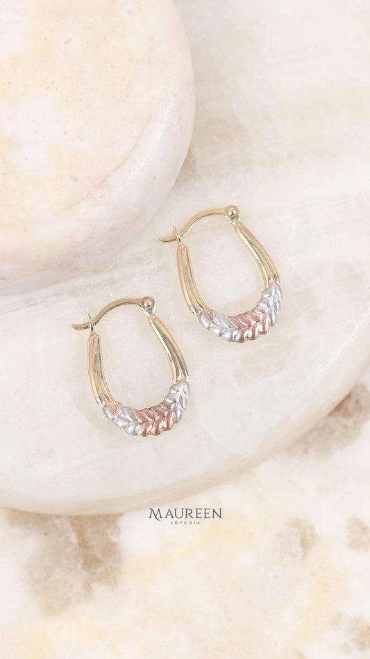 Argolla labrada ovalada - Oro