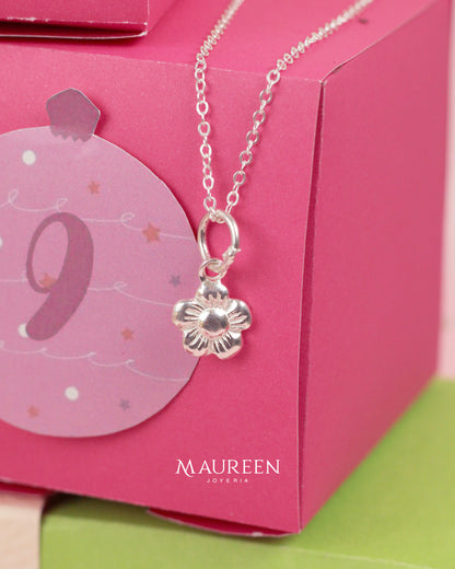 Calendario de Adviento Premium - Plata & Joyas